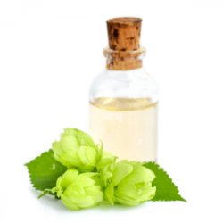 Extracto Natural Lúpulo Saaz x 1 Kg - Cibart