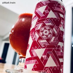 Ascension Brewing. Fractalize [Raspberry Vanilla] - Brew Export