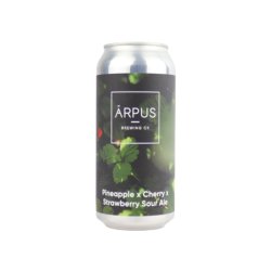 Arpus Pineapple x Cherry x Strawberry Sour Ale Blik - Drankenhandel Leiden / Speciaalbierpakket.nl