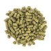 Lupulo en pellet Saaz - 1oz 