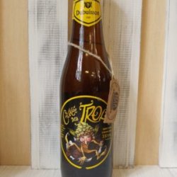 Cuvée des Trolls - Beer Kupela