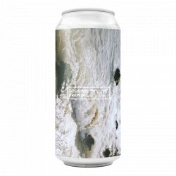 DOSKIWIS Brewing VACANCES 0,44l - Biertipp