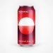 Moonwake REDCURRANT SOUR  4.2% 