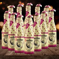 Bacchus Framboise (Raspberry) Belgian Craft Beer Case 5.0% ABV - 375ml Bottles (12 Pack) - Beerhunter