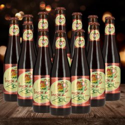 Brugse Zot Bruin Belgian Dubbel 330ml Bottles - 7.5% ABV (12 Pack) - Beerhunter