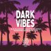 Friends Dark Vibes Sour Gose 5,6% 20 l KeyKeg 