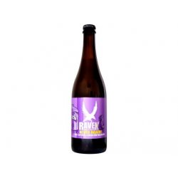 Raven - Never Again! Vol. 2 - CRYO Krush (HBC 586) & Bru-1 0,7l sklo 6,1% alk. - Beer Butik