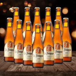 La Trappe Trappist Dutch Tripel Beer - 8.0% ABV (12 Pack) - Beerhunter