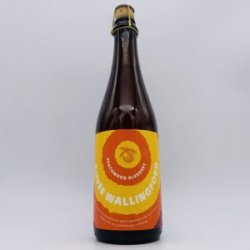 BeachwoodBottleworks Cuvée Wallingford Oak-Aged Peach + Apricot Wild Ale 2022 500ml - Bottleworks