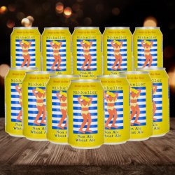 Mikkeller Drink in the Sun 12 x 330ml Cans - 0.3% ABV - Beerhunter