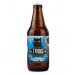 Cerveza 7 Vidas BLUEBERRY SWEET ALE 