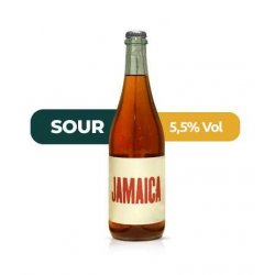 Cyclic Beer Farm Jamaica