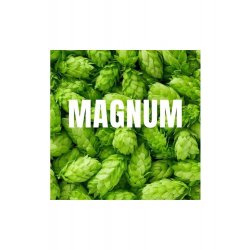 Magnum 125g - Beerstore Barcelona