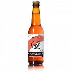 Caracole Ambrée 7.9% 24x33cl - Beercrush