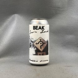 Beak (x Faber & Faber) Sonic Life - Beermoth