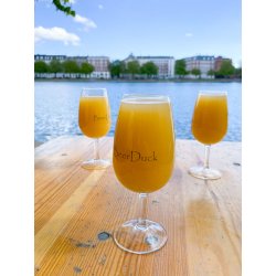 Craft Beer Crawl (Ølsmagningstur i København) - Beermatch