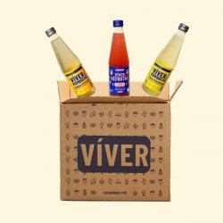 Viver PACK PERSONALIZADO SUSCRIPCIÓN - Viver Kombucha