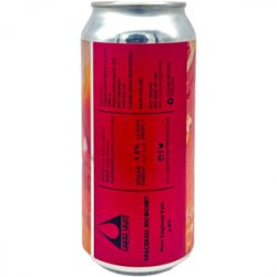 Liquid Light Brewing Company Liquid Light Spaceball Ricochet - Beer Shop HQ