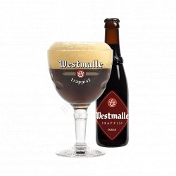 Westmalle Dubbel 0,33L - Beerselection