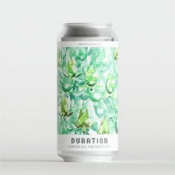 Duration Brewing, Turtles All The Way Down, American Pale Ale, 5.5%, 440ml - The Epicurean