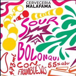 Malafama Bolonqui Sour con Frambuesas  Maracuyá y helado de frutilla lata 330 - Birrava