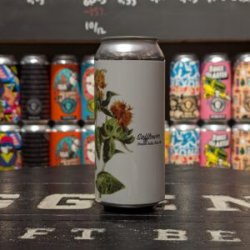 Fidens Brewing Co Safflower Fidens Brewing Co Safflower