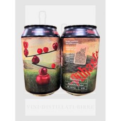 Pühaste Brewery Momentum