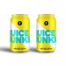Brussels Beer Project Juice Junkie Can 33cl x 2 