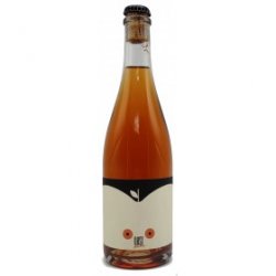 DUST Blending Ciderstorm