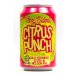 Tiny Rebel Citrus Punch 