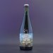 Burning Sky - Saison Anniversaire 2023 - 6.5% (750ml) Burning Sky - Saison Anniversaire 2023 - 6.5% (750ml)