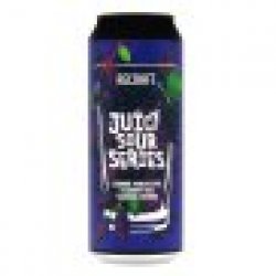 ReCraft Juicy Sour Series: Czarna Porzeczka, Czarny Bez, Czarna Morwa 0,5l - Craftbeer Shop
