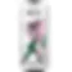 DEYA Brewing Company Gotcha