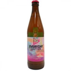 Funky Fluid  Everyday 50cl - Beermacia