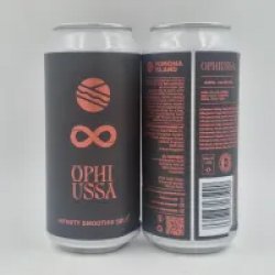 Pomona Island Brew Co. INFINITY SMOOTHIE SOUR