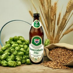 Dorn-Bräu Privatbrauerei Ammerndorf Ammerndorfer Pils Dorn-Bräu Privatbrauerei Ammerndorf Ammerndorfer Pils