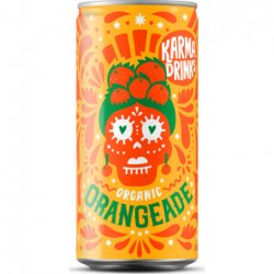 Karma Drinks Karma Orangeade - Crafty Fingers