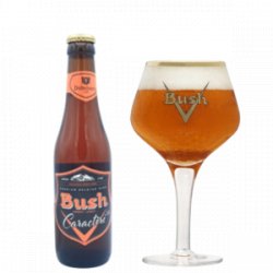 Bush Caractère