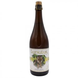 Lupulus Blonde - Craftbeers - De Caigny