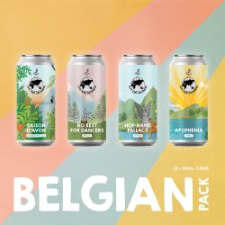 Belgian Mixed Pack 12 x 440ml - Lost and Grounded Brewers