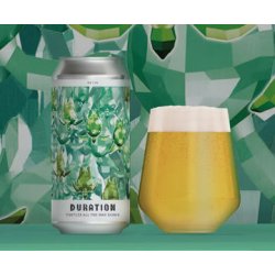 Duration Brewing Turtles All the Way Down