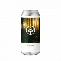 Autodidact Beer Usurper