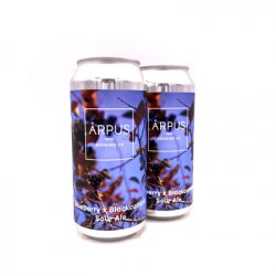 Ārpus Brewing Co. - Blueberry X Blackcurrant Sour Ale - Hop Craft Beers