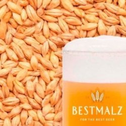 Malta Bestmalz Chit 2-3  EBC sin moler - El Secreto de la Cerveza