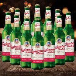 Budweiser Budvar Czech Lager 500ml Bottles - 5% ABV (12 Pack) - Beerhunter