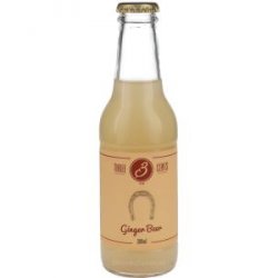 Three Cents Ginger Beer - Drankgigant.nl