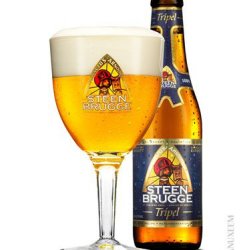 Steenbrugge GLAS - Trappist.dk - Skjold Burne