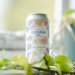 Track Brewing Ultimate Dreaming Of... DDH IPA 6-Pack 