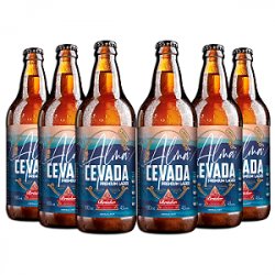 Kit  Bruder Alma Cevada 600ml - 6 unidades - Comercial Del Rey