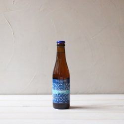 Cerveza La Terrissa Pale ALE - Original CV